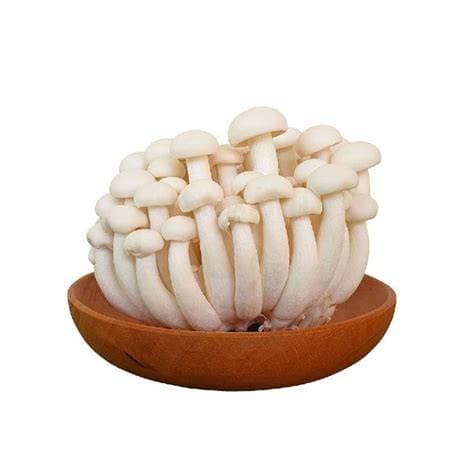 Hon shimeji white 200g